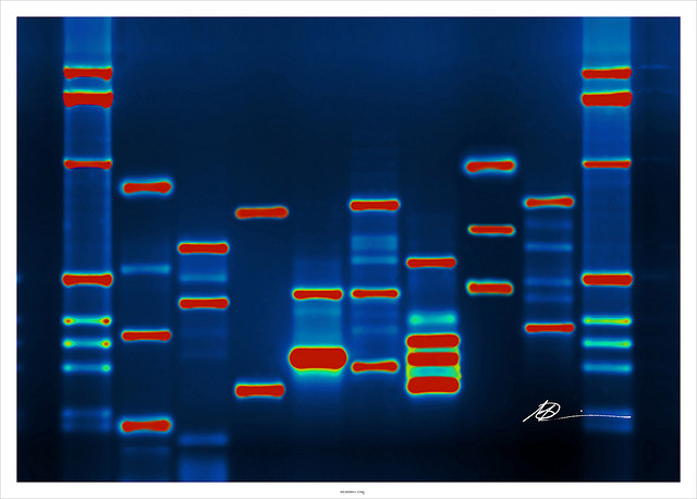 DNA