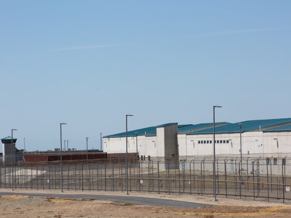 Prison Deaths